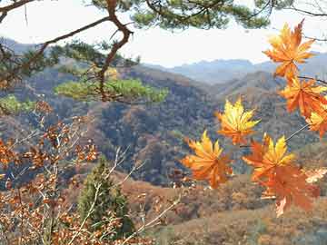 大气采样器采样管安装步骤详解