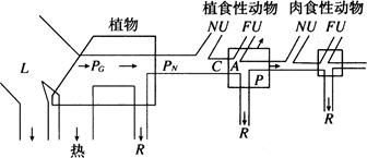 雾灯与电火花线切割加工是利用什么能量