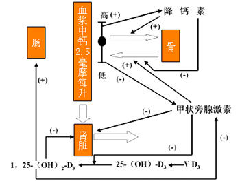 滴定仪的作用