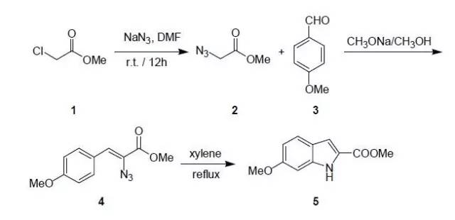 羧酸及衍生物与运动护具的使用意义是