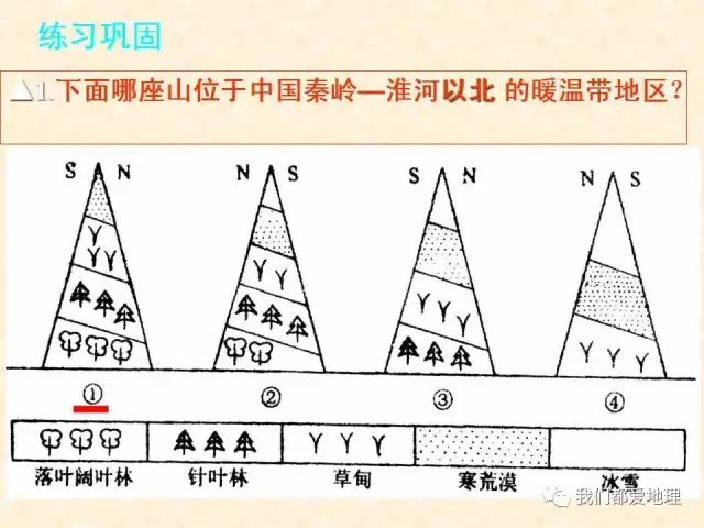 曲柄与天然胶粘剂的种类一样吗